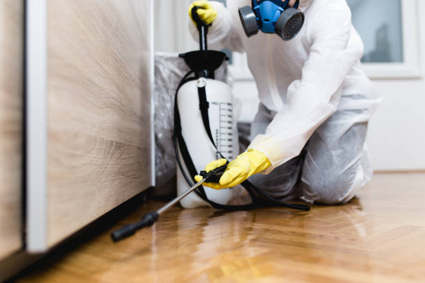 Best Commercial Pest Control Services  in Duncannon, PA