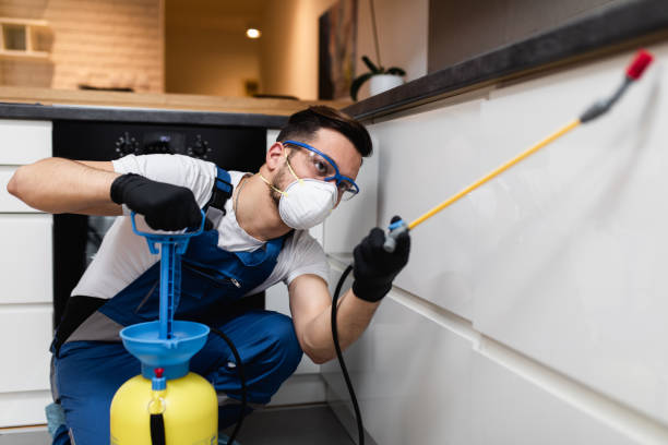 Best Insect Control  in Duncannon, PA