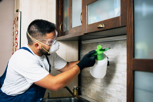 Best Pest Control Near Me  in Duncannon, PA