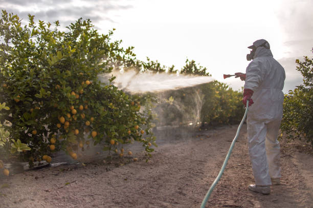 Best Residential Pest Control  in Duncannon, PA