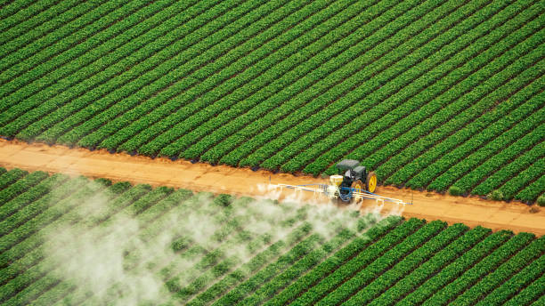 Best Mosquito Control Services  in Duncannon, PA