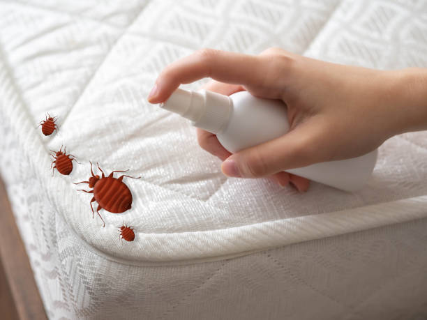 Flea Control Services in Duncannon, PA