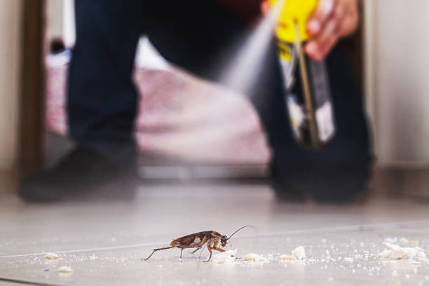 Best Bed Bug Extermination  in Duncannon, PA