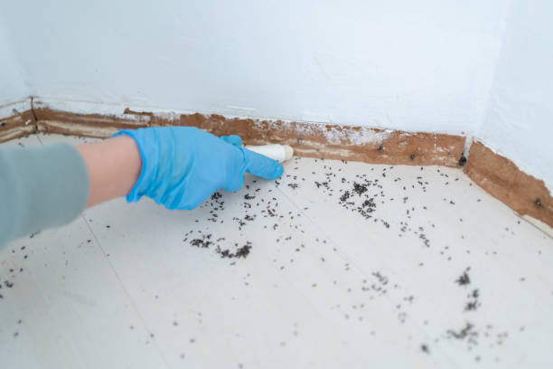 Best Affordable Pest Control Services  in Duncannon, PA