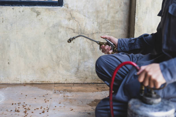 Best Pest Prevention Services  in Duncannon, PA